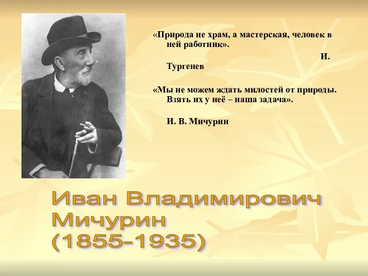 «Природа не храм, а мастерская, человек в ней работник». И. Тургенев