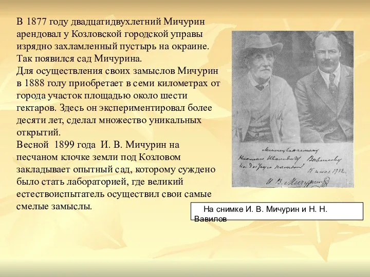 В 1877 году двадцатидвухлетний Мичурин арендовал у Козловской городской управы изрядно