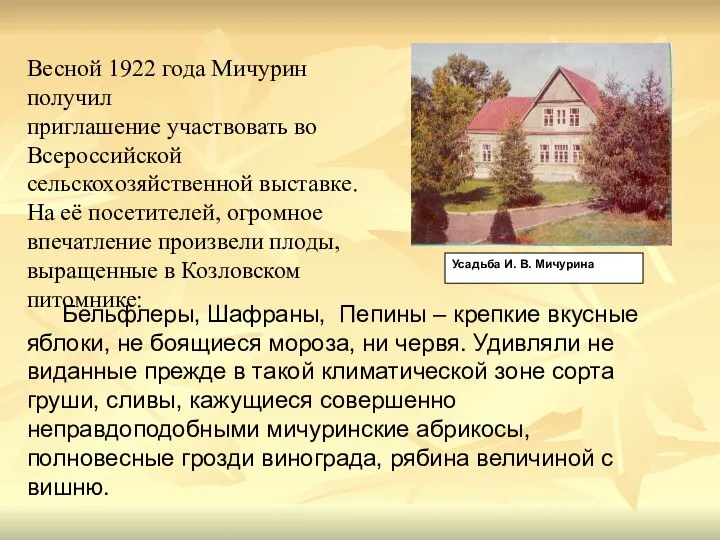 Усадьба И. В. Мичурина Бельфлеры, Шафраны, Пепины – крепкие вкусные яблоки,