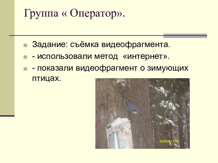 Группа « Оператор». Задание: съёмка видеофрагмента. - использовали метод «интернет». - показали видеофрагмент о зимующих птицах.