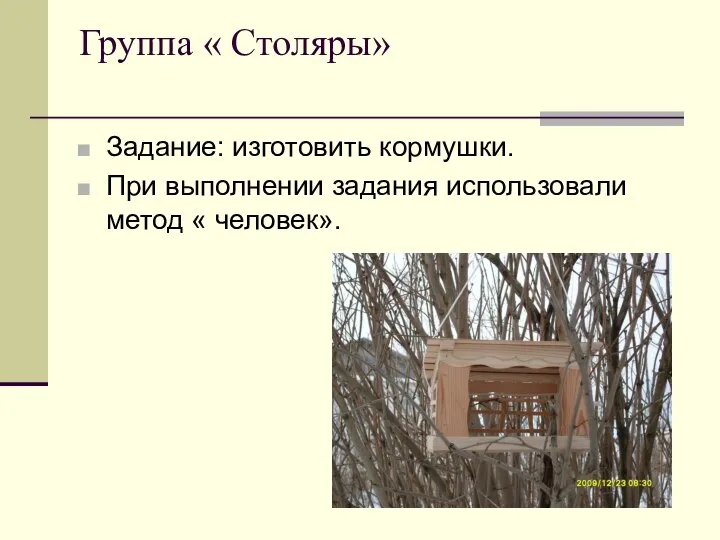 Группа « Столяры» Задание: изготовить кормушки. При выполнении задания использовали метод « человек».