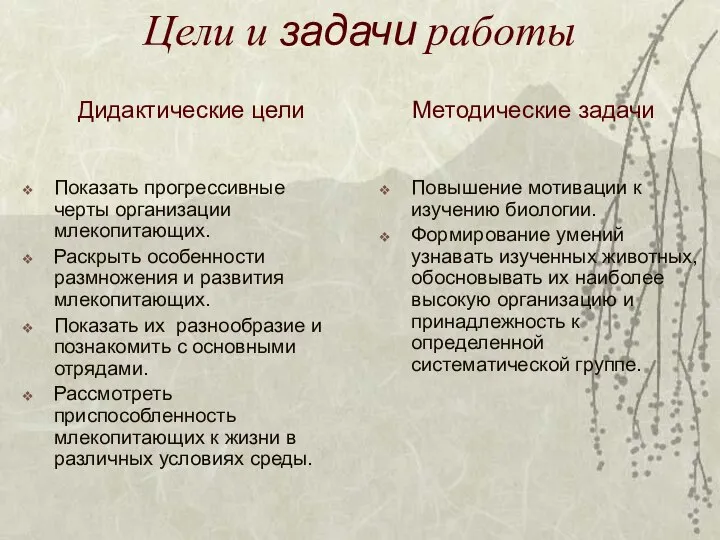 Цели и задачи работы Показать прогрессивные черты организации млекопитающих. Раскрыть особенности