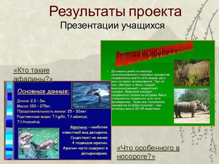 Результаты проекта Презентации учащихся «Кто такие афалины?» «Что особенного в носороге?»