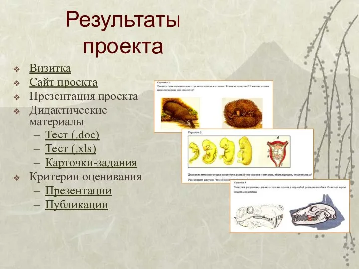 Результаты проекта Визитка Сайт проекта Презентация проекта Дидактические материалы Тест (.doc)