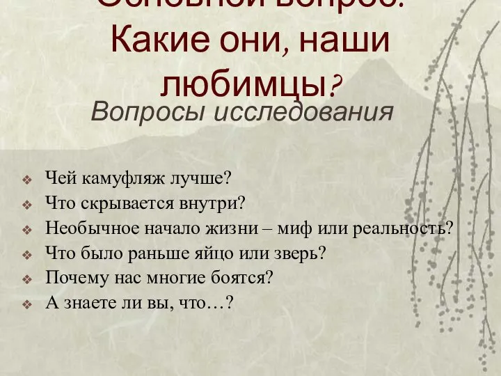 Основной вопрос: Какие они, наши любимцы? Вопросы исследования Чей камуфляж лучше?