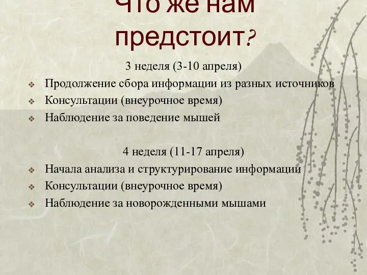 Что же нам предстоит? 3 неделя (3-10 апреля) Продолжение сбора информации