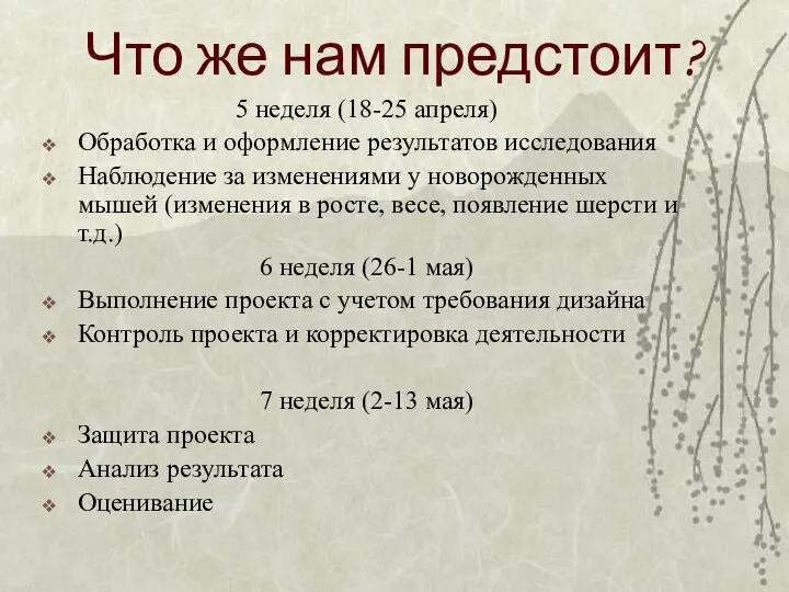 Что же нам предстоит? 5 неделя (18-25 апреля) Обработка и оформление