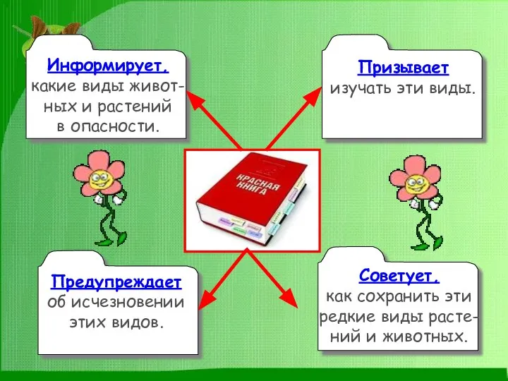 Информирует, какие виды живот- ных и растений в опасности. Призывает изучать