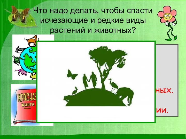 Что надо делать, чтобы спасти исчезающие и редкие виды растений и