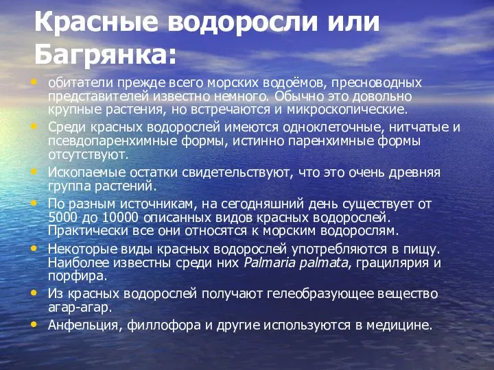 Красные водоросли или Багрянка: обитатели прежде всего морских водоёмов, пресноводных представителей