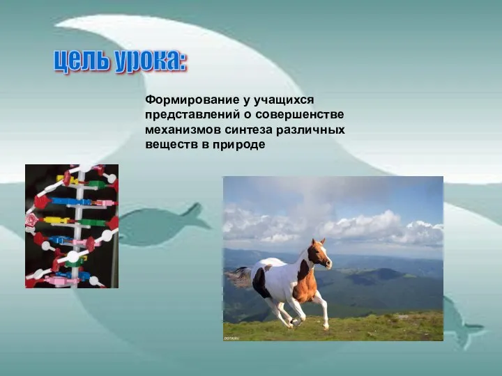 цель урока: Формирование у учащихся представлений о совершенстве механизмов синтеза различных веществ в природе