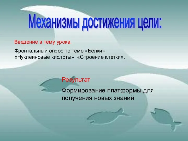 Механизмы достижения цели: Введение в тему урока. Фронтальный опрос по теме