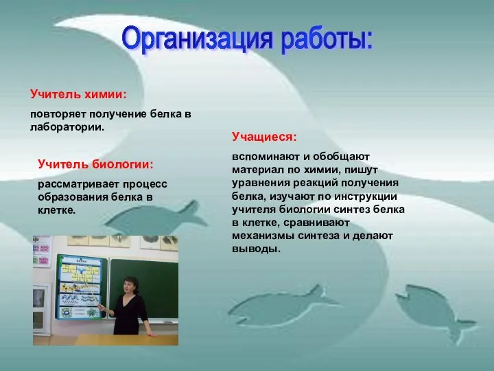 Организация работы: Учитель химии: повторяет получение белка в лаборатории. Учитель биологии: