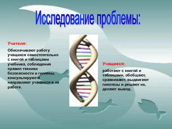 Исследование проблемы: Учителя: Обеспечивают работу учащихся самостоятельно с книгой и таблицами