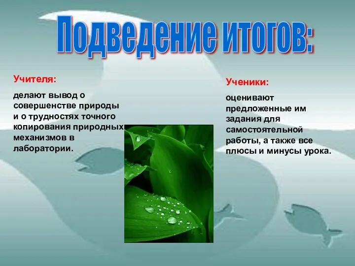 Подведение итогов: Учителя: делают вывод о совершенстве природы и о трудностях