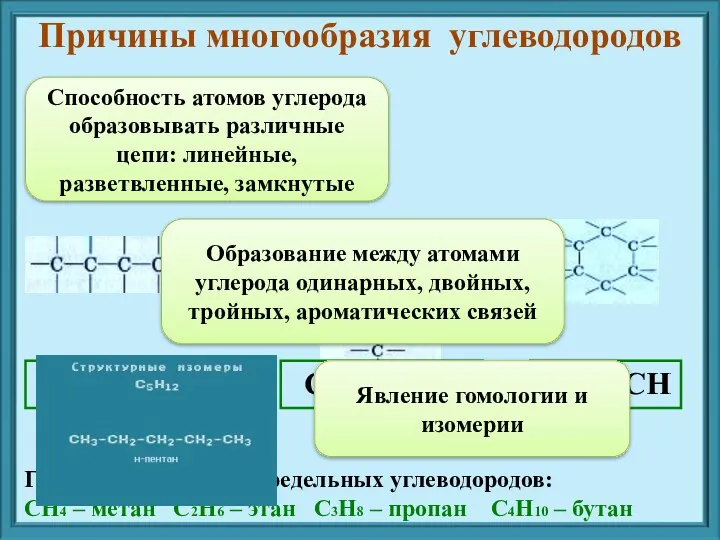 Способность атомов углерода образовывать различные цепи: линейные, разветвленные, замкнутые Причины многообразия