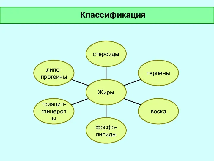 Классификация