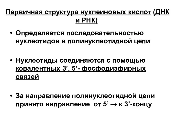 Первичная структура нуклеиновых кислот (ДНК и РНК) Определяется последовательностью нуклеотидов в