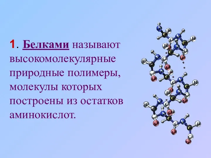 1. Белками называют высокомолекулярные природные полимеры, молекулы которых построены из остатков аминокислот.