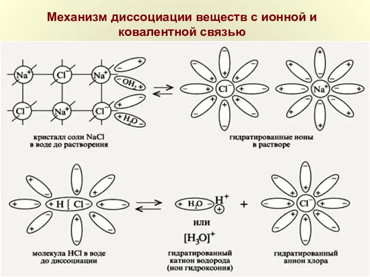 Механизм диссоциации веществ с ионной и ковалентной связью