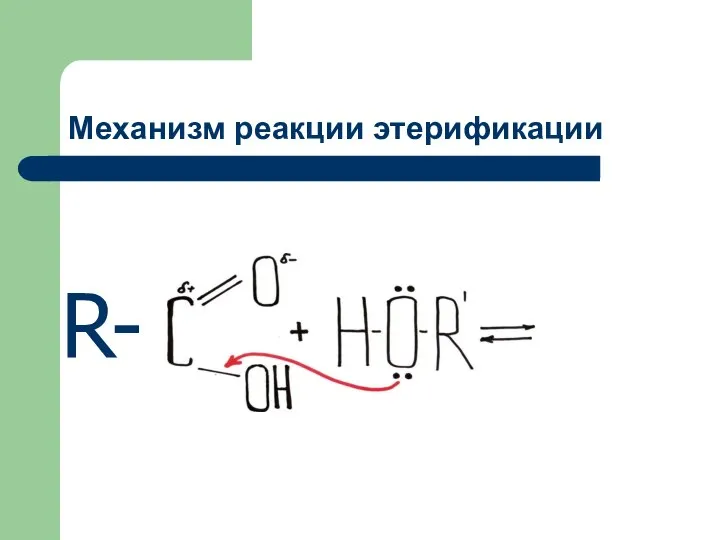 Механизм реакции этерификации R-