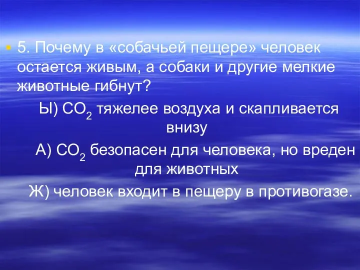 5. Почему в «собачьей пещере» человек остается живым, а собаки и