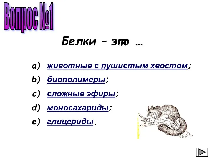 Вопрос №1 животные с пушистым хвостом; биополимеры; сложные эфиры; моносахариды; глицериды. Белки – это …