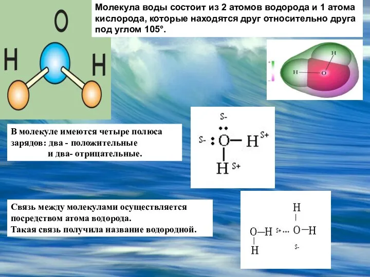 Молекула воды состоит из 2 атомов водорода и 1 атома кислорода,