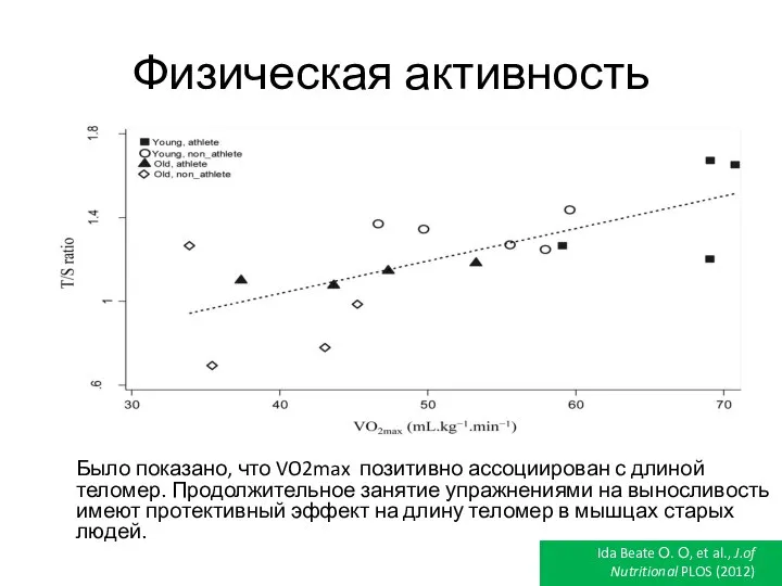 Физическая активность Было показано, что VO2max позитивно ассоциирован с длиной теломер.