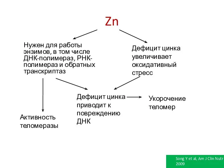 Zn Нужен для работы энзимов, в том числе ДНК-полимераз, РНК-полимераз и