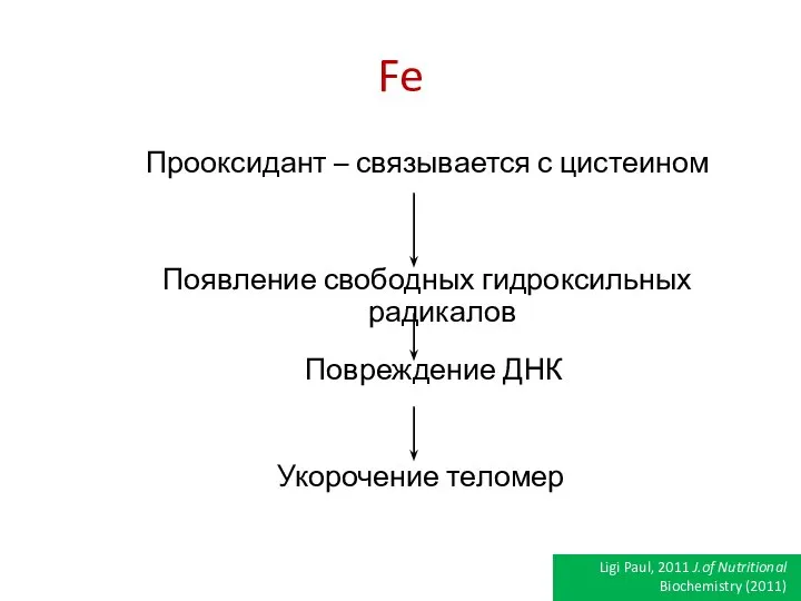 Fe Прооксидант – связывается с цистеином Появление свободных гидроксильных радикалов Повреждение