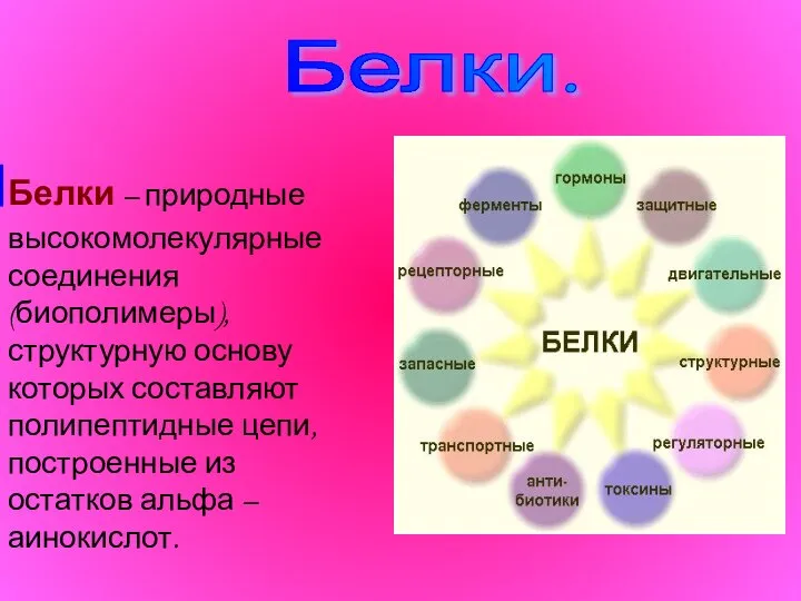 Белки. Белки – природные высокомолекулярные соединения(биополимеры), структурную основу которых составляют полипептидные