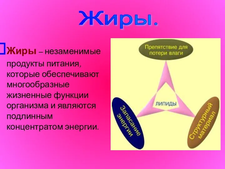 Жиры. Жиры – незаменимые продукты питания, которые обеспечивают многообразные жизненные функции