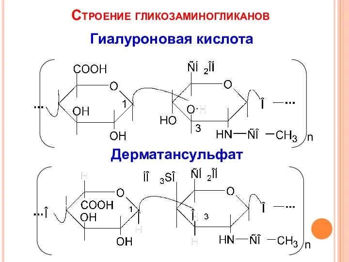 Строение гликозаминогликанов Гиалуроновая кислота Дерматансульфат n n