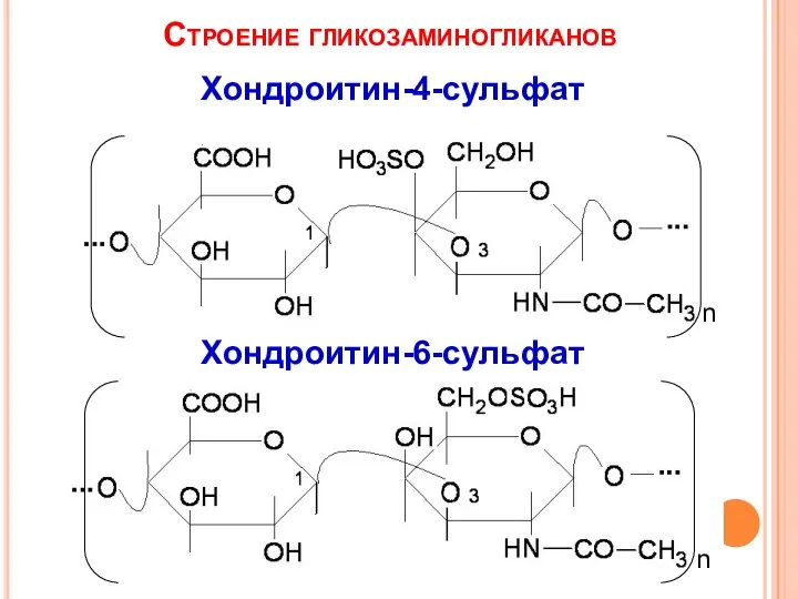 Строение гликозаминогликанов Хондроитин-4-сульфат n n Хондроитин-6-сульфат