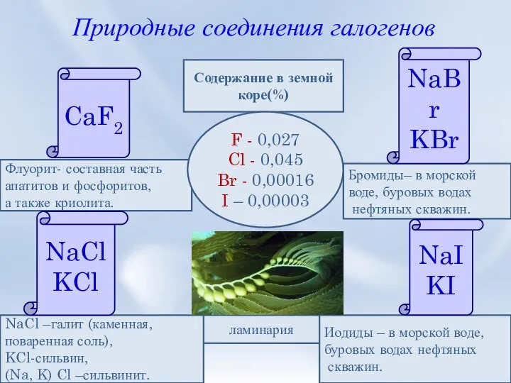 Природные соединения галогенов Флуорит- составная часть апатитов и фосфоритов, а также