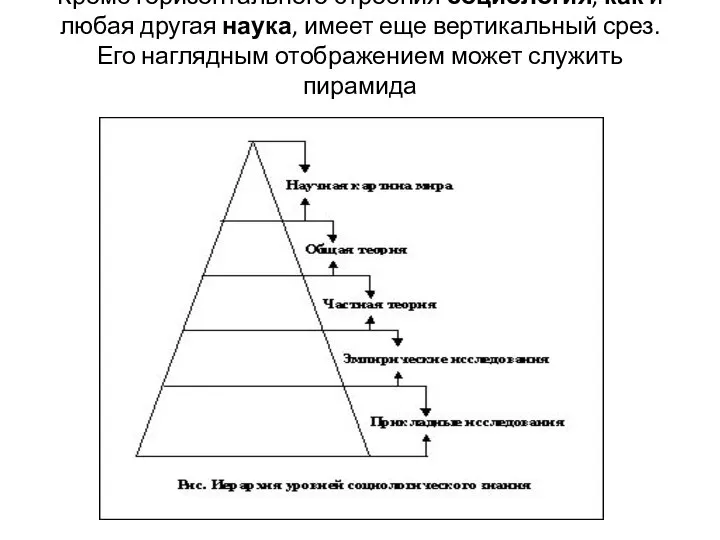 Кроме горизонтального строения социология, как и любая другая наука, имеет еще