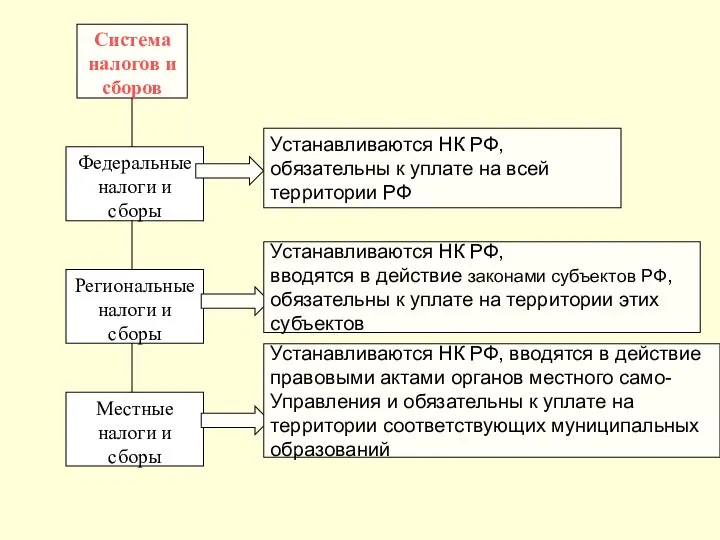 Устанавливаются НК РФ, обязательны к уплате на всей территории РФ Устанавливаются