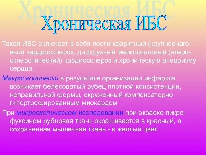 Такая ИБС включает в себя постинфарктный (крупноочаго-вый) кардиосклероз, диффузный мелкоочаговый (атеро-склеротический)