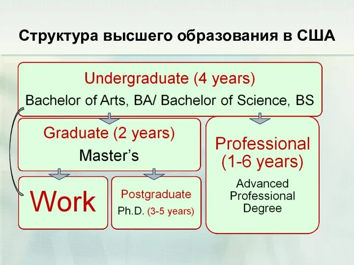 Структура высшего образования в США