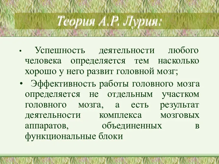 Теория А.Р. Лурия: Успешность деятельности любого человека определяется тем насколько хорошо