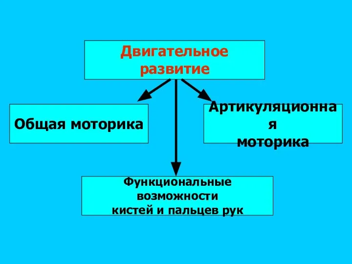 Двигательное развитие Общая моторика Функциональные возможности кистей и пальцев рук Артикуляционная моторика