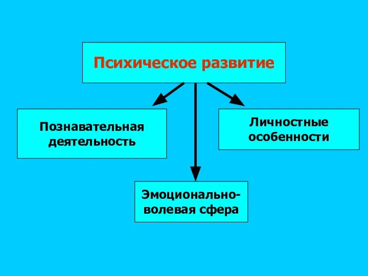 Психическое развитие Познавательная деятельность Эмоционально- волевая сфера Личностные особенности