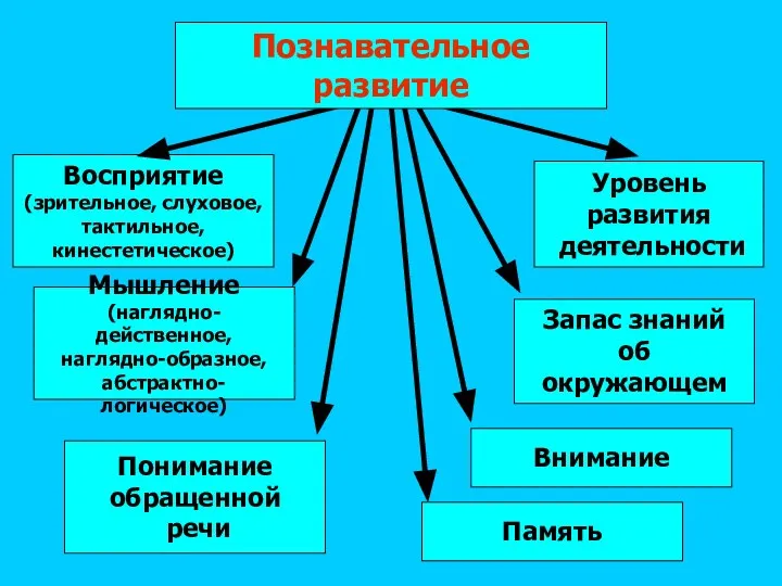 Восприятие (зрительное, слуховое, тактильное, кинестетическое) Запас знаний об окружающем Уровень развития