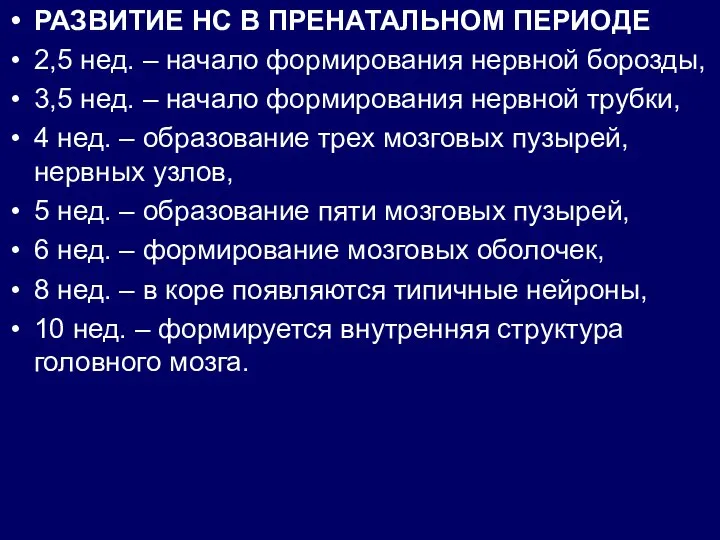 РАЗВИТИЕ НС В ПРЕНАТАЛЬНОМ ПЕРИОДЕ 2,5 нед. – начало формирования нервной