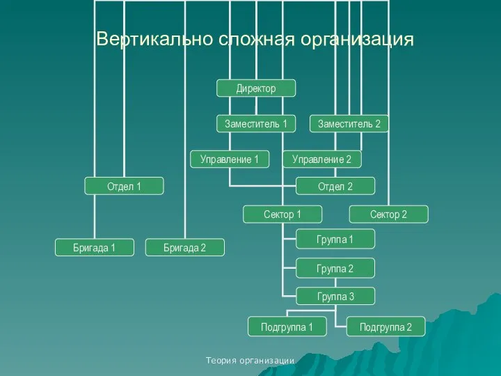 Теория организации Вертикально сложная организация