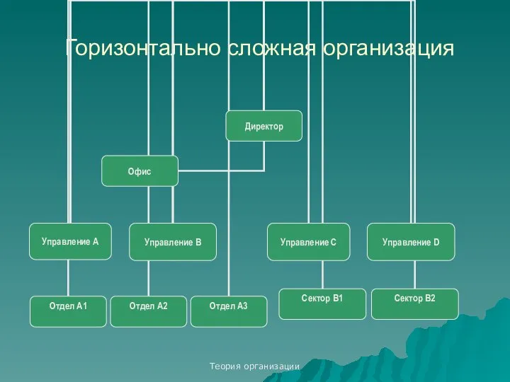 Теория организации Горизонтально сложная организация