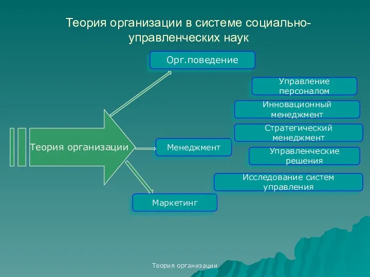 Теория организации Теория организации в системе социально-управленческих наук Теория организации Орг.поведение