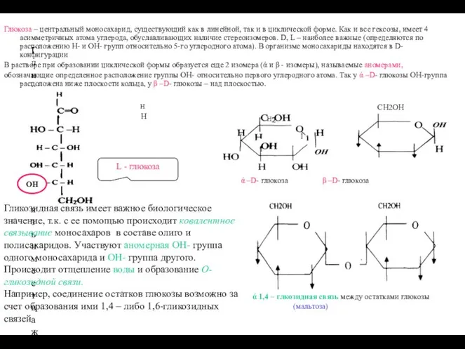 Гликозидная связь имеет важное биологическое значение, т.к. с ее помощью происходит