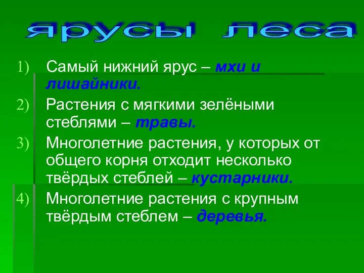 Самый нижний ярус – мхи и лишайники. Растения с мягкими зелёными